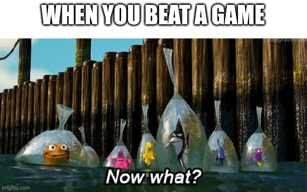 Now What? | WHEN YOU BEAT A GAME | image tagged in now what | made w/ Imgflip meme maker
