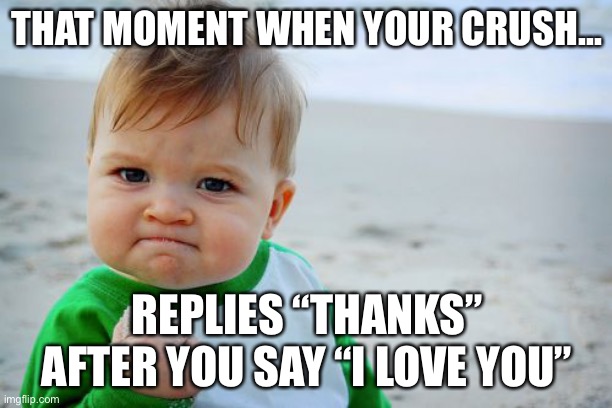 ? | THAT MOMENT WHEN YOUR CRUSH... REPLIES “THANKS” AFTER YOU SAY “I LOVE YOU” | image tagged in memes,success kid original | made w/ Imgflip meme maker