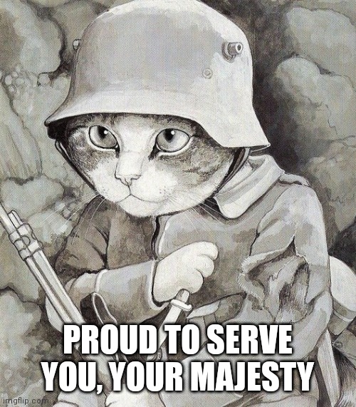 cat soldier | PROUD TO SERVE YOU, YOUR MAJESTY | image tagged in cat soldier | made w/ Imgflip meme maker