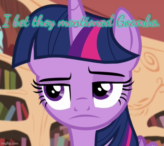 Unamused Twilight Sparkle (MLP) | I bet they mentioned Goomba. | image tagged in unamused twilight sparkle mlp | made w/ Imgflip meme maker