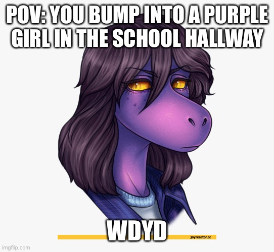 POV: YOU BUMP INTO A PURPLE GIRL IN THE SCHOOL HALLWAY; WDYD | made w/ Imgflip meme maker