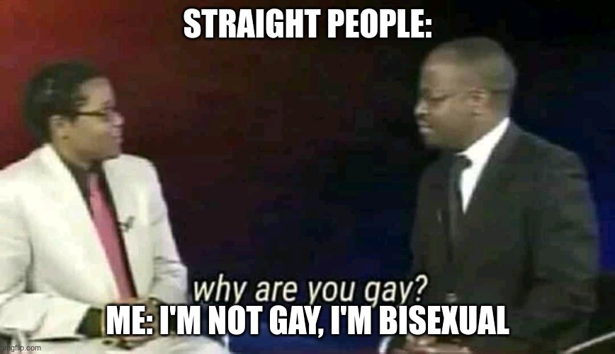 Get it right :p | STRAIGHT PEOPLE:; ME: I'M NOT GAY, I'M BISEXUAL | image tagged in why are you gay | made w/ Imgflip meme maker