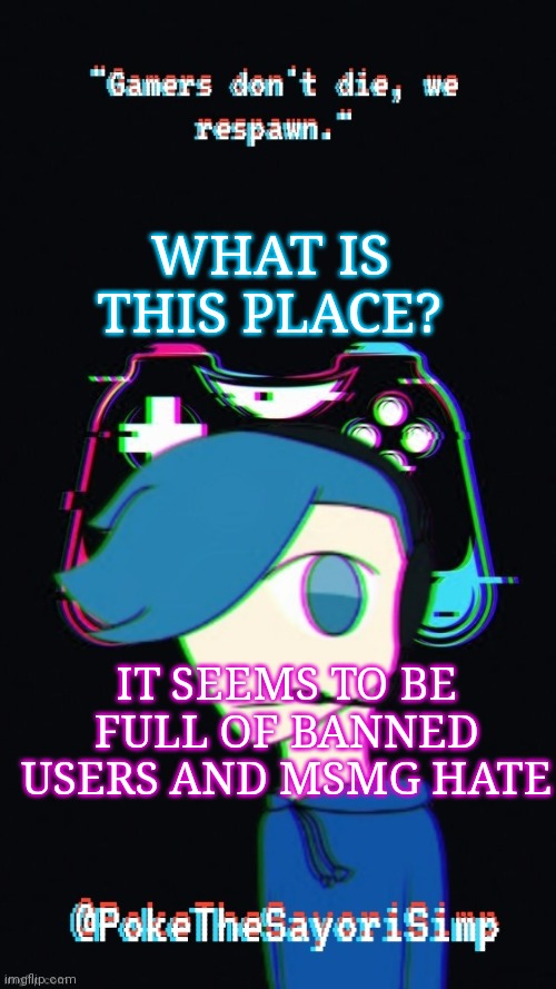 Pokes third gaming temp | WHAT IS THIS PLACE? IT SEEMS TO BE FULL OF BANNED USERS AND MSMG HATE | image tagged in pokes third gaming temp | made w/ Imgflip meme maker