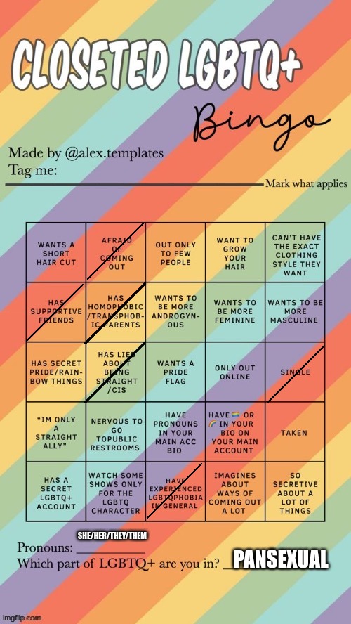 The endless game of bingo 0-0 | SHE/HER/THEY/THEM; PANSEXUAL | image tagged in closeted lgbtq bingo | made w/ Imgflip meme maker