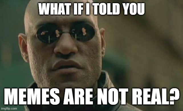 Matrix Morpheus Meme | WHAT IF I TOLD YOU MEMES ARE NOT REAL? | image tagged in memes,matrix morpheus | made w/ Imgflip meme maker
