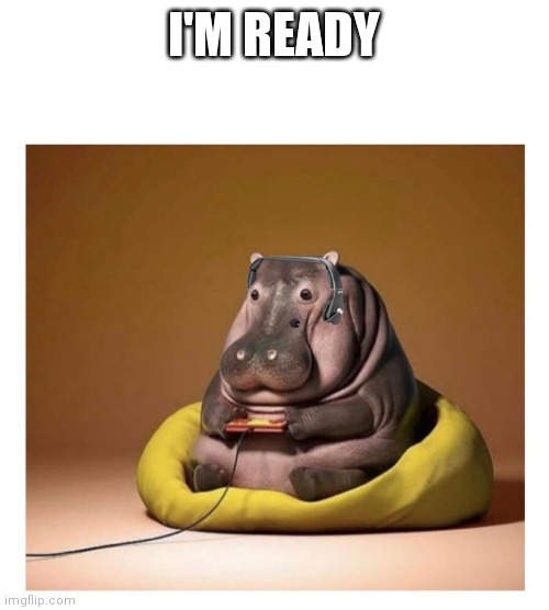Gaming Hippo | I'M READY | image tagged in gaming hippo | made w/ Imgflip meme maker