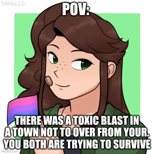 no op oc's, no joke oc's, and you may not kill her | POV:; THERE WAS A TOXIC BLAST IN A TOWN NOT TO OVER FROM YOUR. YOU BOTH ARE TRYING TO SURVIVE | image tagged in enjoy | made w/ Imgflip meme maker