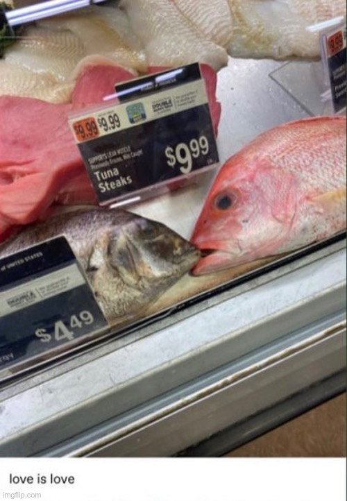 h u m o r | made w/ Imgflip meme maker