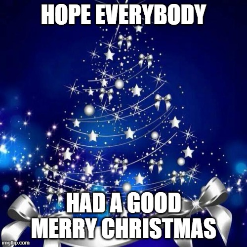 Merry Christmas  | HOPE EVERYBODY; HAD A GOOD MERRY CHRISTMAS | image tagged in merry christmas | made w/ Imgflip meme maker