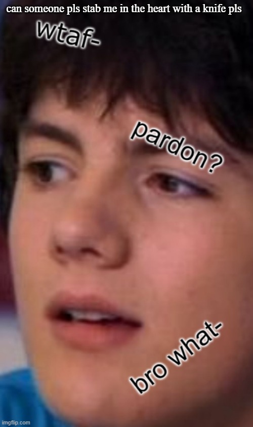 Ethan confusion | can someone pls stab me in the heart with a knife pls | image tagged in ethan confusion | made w/ Imgflip meme maker
