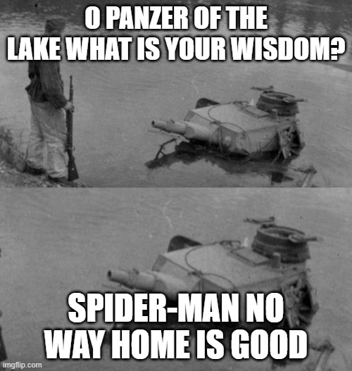 GO WATCH SPIDER-MAN NO WAY HOME!!! | O PANZER OF THE LAKE WHAT IS YOUR WISDOM? SPIDER-MAN NO WAY HOME IS GOOD | image tagged in panzer of the lake | made w/ Imgflip meme maker