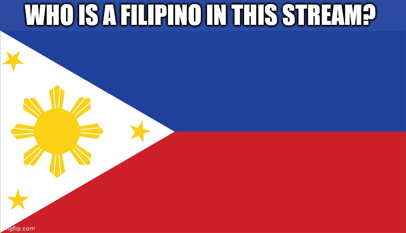 Philippine Flag | WHO IS A FILIPINO IN THIS STREAM? | image tagged in philippine flag | made w/ Imgflip meme maker