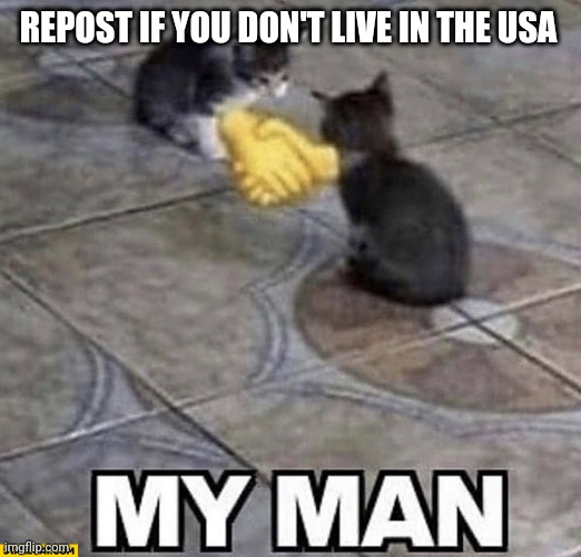 I'm from Canada | REPOST IF YOU DON'T LIVE IN THE USA | image tagged in cats shaking hands | made w/ Imgflip meme maker