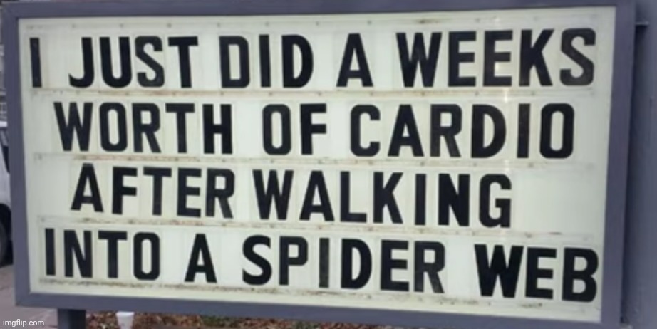 image tagged in funny memes | made w/ Imgflip meme maker