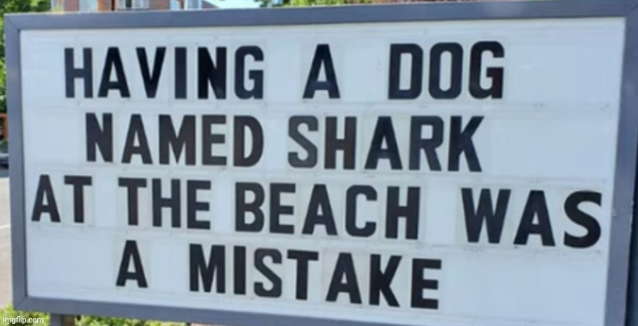 image tagged in funny memes | made w/ Imgflip meme maker