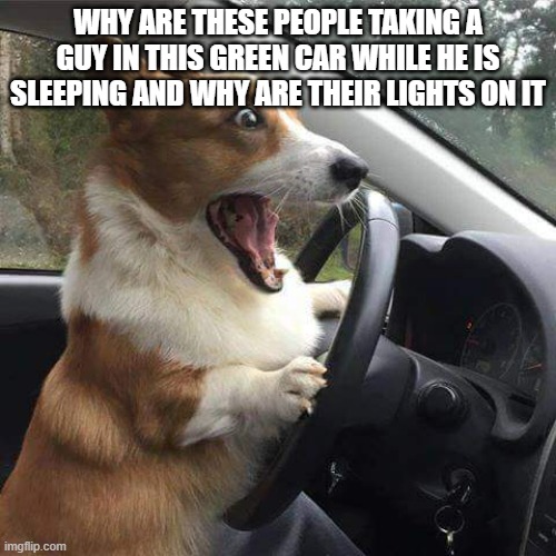 corgi dosen't know | WHY ARE THESE PEOPLE TAKING A GUY IN THIS GREEN CAR WHILE HE IS SLEEPING AND WHY ARE THEIR LIGHTS ON IT | image tagged in rage corgi | made w/ Imgflip meme maker