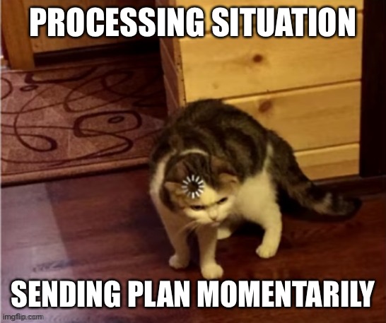 Cat think | PROCESSING SITUATION SENDING PLAN MOMENTARILY | image tagged in cat think | made w/ Imgflip meme maker
