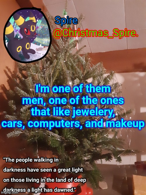 Spire Christmas announcement template | I'm one of them men, one of the ones that like jewelery, cars, computers, and makeup | image tagged in spire christmas announcement template | made w/ Imgflip meme maker
