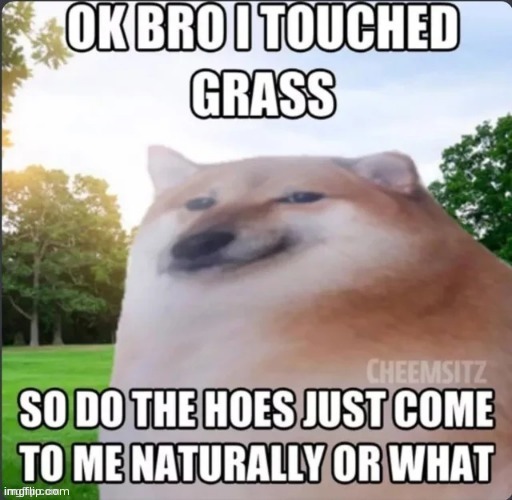 I touched grass | image tagged in i touched grass | made w/ Imgflip meme maker