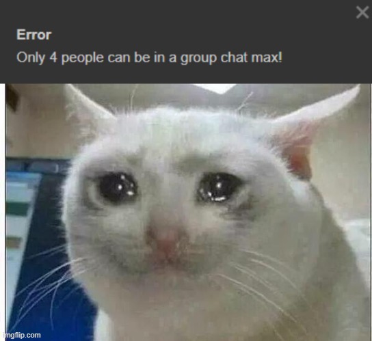 sadge | image tagged in crying cat | made w/ Imgflip meme maker