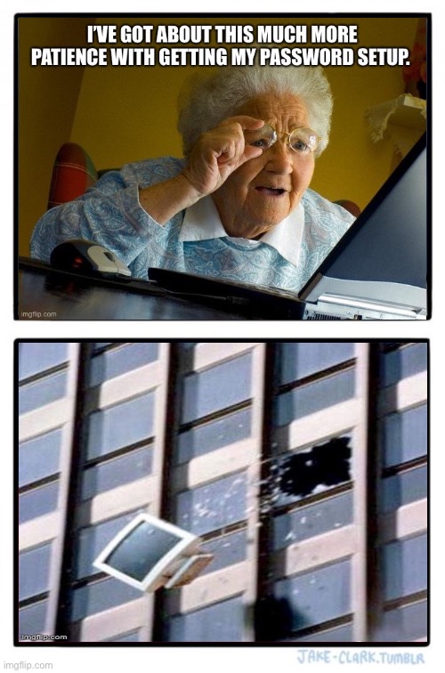 Two Buttons | image tagged in memes,password setup,old lady at computer | made w/ Imgflip meme maker