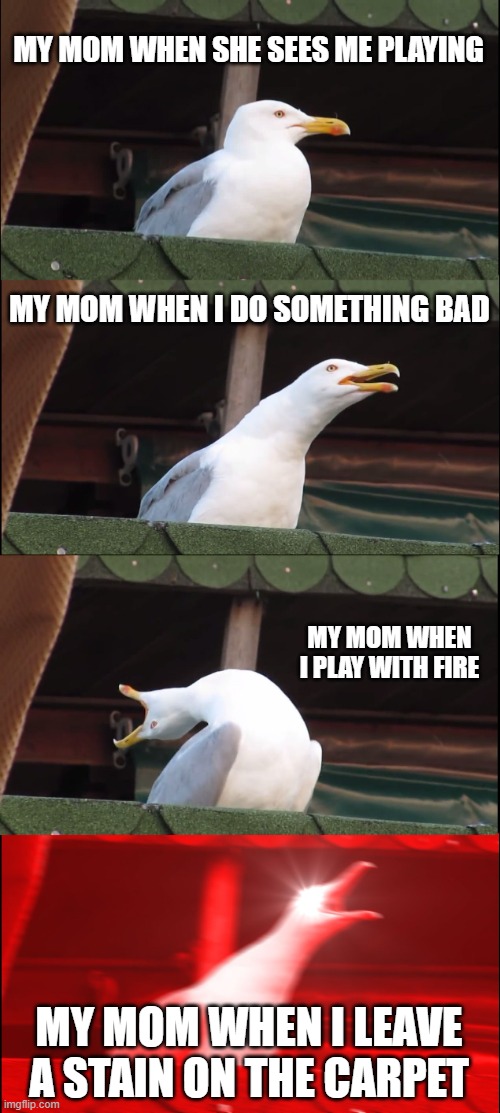 Inhaling Seagull Meme | MY MOM WHEN SHE SEES ME PLAYING; MY MOM WHEN I DO SOMETHING BAD; MY MOM WHEN I PLAY WITH FIRE; MY MOM WHEN I LEAVE A STAIN ON THE CARPET | image tagged in memes,inhaling seagull | made w/ Imgflip meme maker