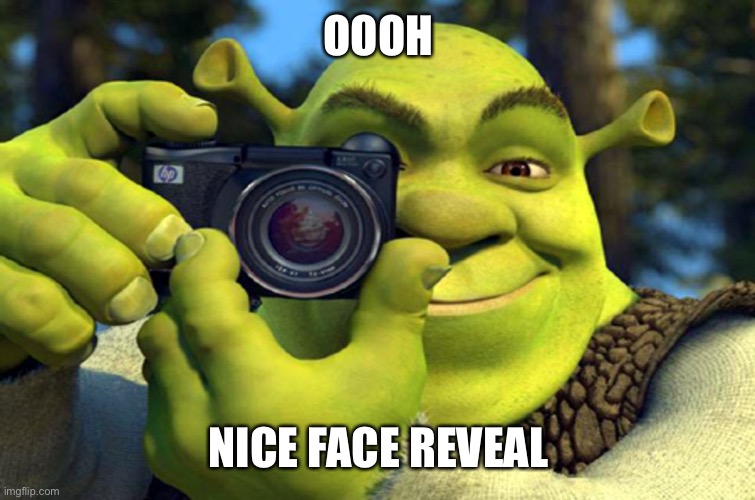 shrek camera | OOOH; NICE FACE REVEAL | image tagged in shrek camera | made w/ Imgflip meme maker