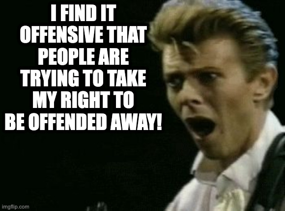 Offended David Bowie | I FIND IT OFFENSIVE THAT PEOPLE ARE TRYING TO TAKE MY RIGHT TO BE OFFENDED AWAY! | image tagged in offended david bowie | made w/ Imgflip meme maker