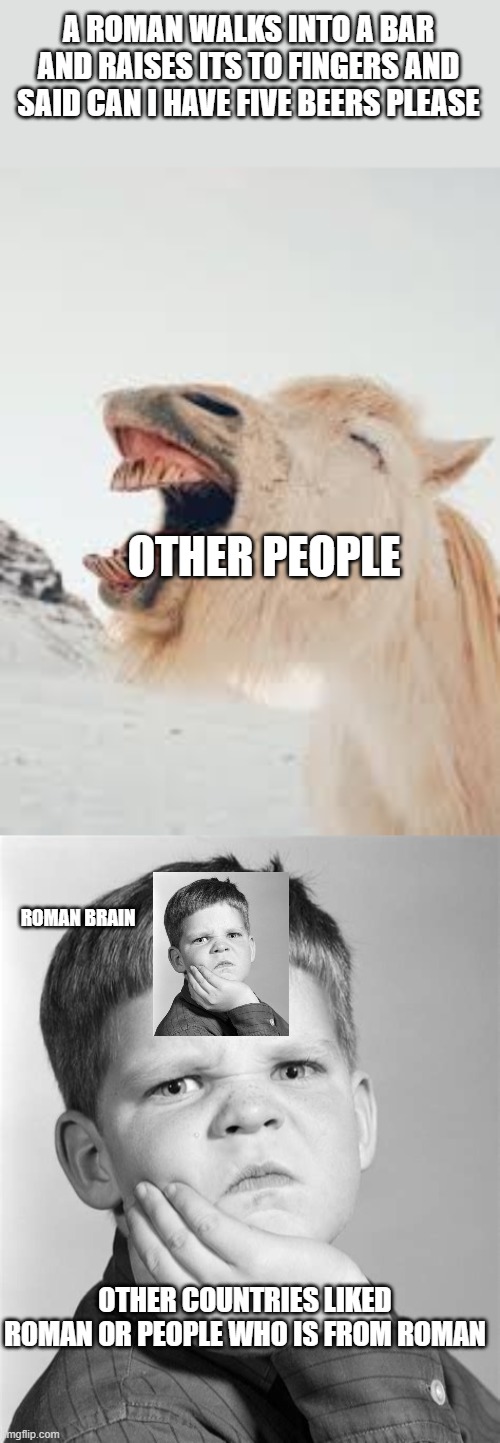 A ROMAN WALKS INTO A BAR AND RAISES ITS TO FINGERS AND SAID CAN I HAVE FIVE BEERS PLEASE; OTHER PEOPLE; ROMAN BRAIN; OTHER COUNTRIES LIKED ROMAN OR PEOPLE WHO IS FROM ROMAN | image tagged in laughin' laama,roman | made w/ Imgflip meme maker
