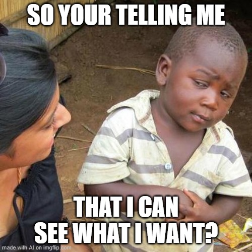 See What I Want? | SO YOUR TELLING ME; THAT I CAN SEE WHAT I WANT? | image tagged in memes,third world skeptical kid | made w/ Imgflip meme maker