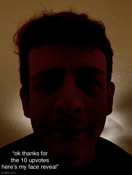 Either this or they put a mask and sunglasses on | “ok thanks for the 10 upvotes here’s my face reveal” | made w/ Imgflip meme maker