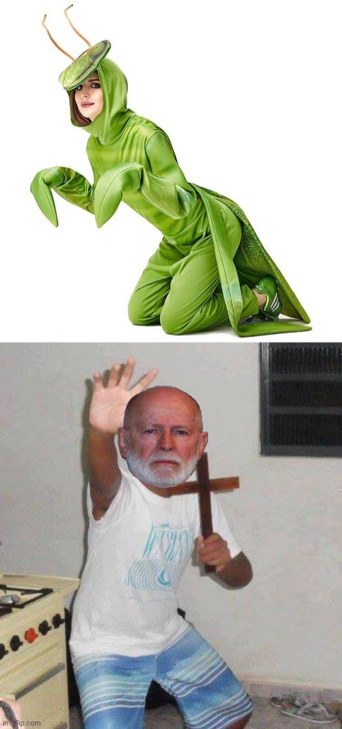King Georgie doesn’t like mantises. Vote Common Sense Party to increase the mantis population | image tagged in kid with cross | made w/ Imgflip meme maker