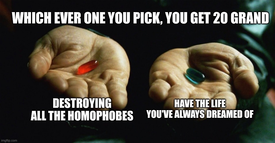 i would choose blue personally but you do you! | WHICH EVER ONE YOU PICK, YOU GET 20 GRAND; DESTROYING ALL THE HOMOPHOBES; HAVE THE LIFE YOU'VE ALWAYS DREAMED OF | image tagged in red pill blue pill | made w/ Imgflip meme maker