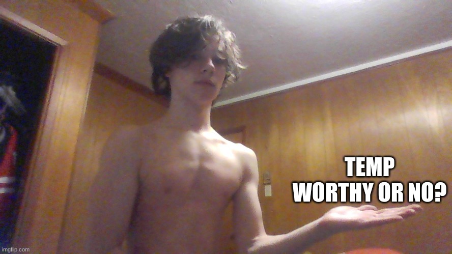 temp worthy? | TEMP WORTHY OR NO? | made w/ Imgflip meme maker