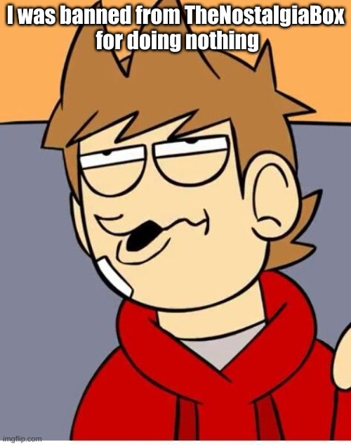 If you know why tell me | I was banned from TheNostalgiaBox
 for doing nothing | image tagged in eddsworld | made w/ Imgflip meme maker