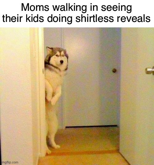 Awsd | Moms walking in seeing their kids doing shirtless reveals | image tagged in husky peeking in doorway | made w/ Imgflip meme maker