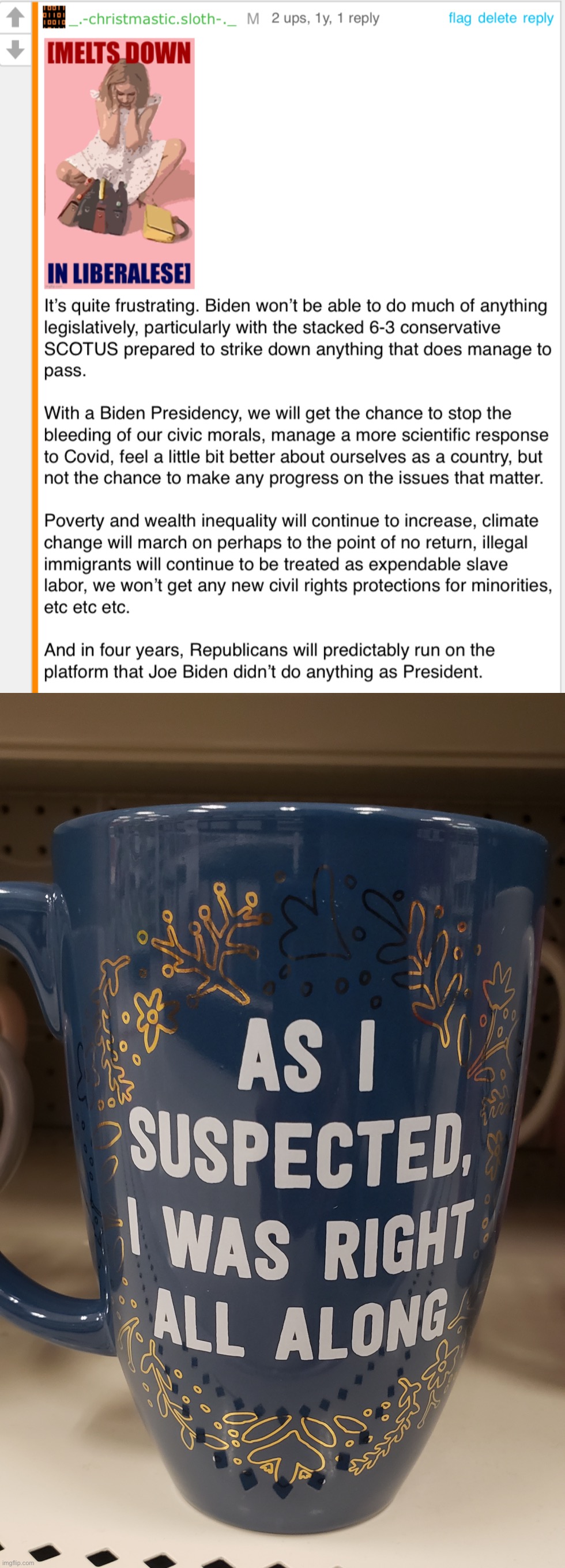 I wrote this comment about a year ago. One year into Biden’s Presidency: How’s it holding up? | image tagged in i,read,stuff,and,pay,attention | made w/ Imgflip meme maker