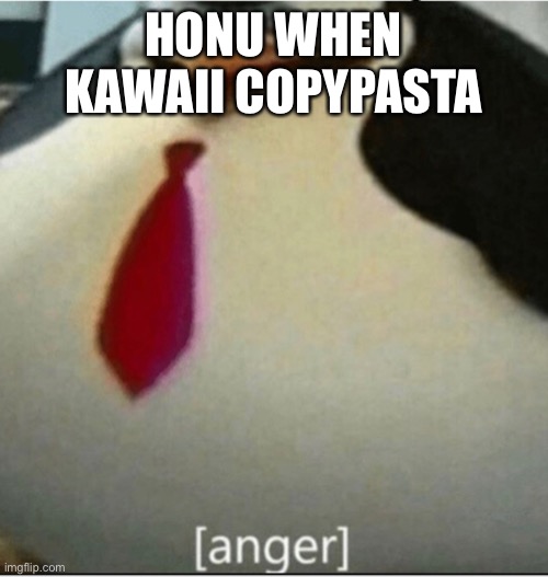 i think they hate me now | HONU WHEN KAWAII COPYPASTA | image tagged in anger | made w/ Imgflip meme maker