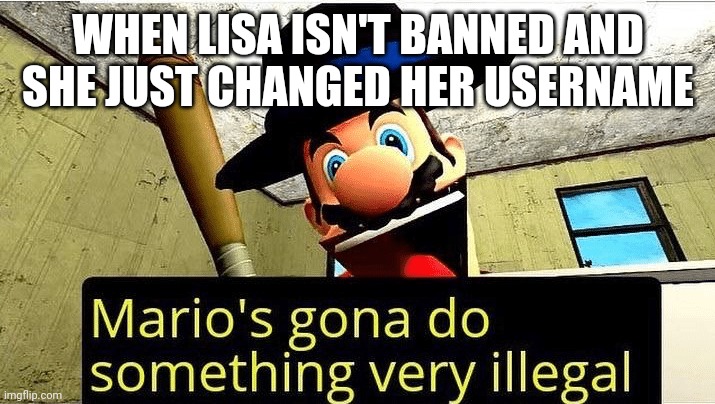 She isn't banned guys ? | WHEN LISA ISN'T BANNED AND SHE JUST CHANGED HER USERNAME | image tagged in mario s gonna do something very illegal,send lisa to heck,mario | made w/ Imgflip meme maker