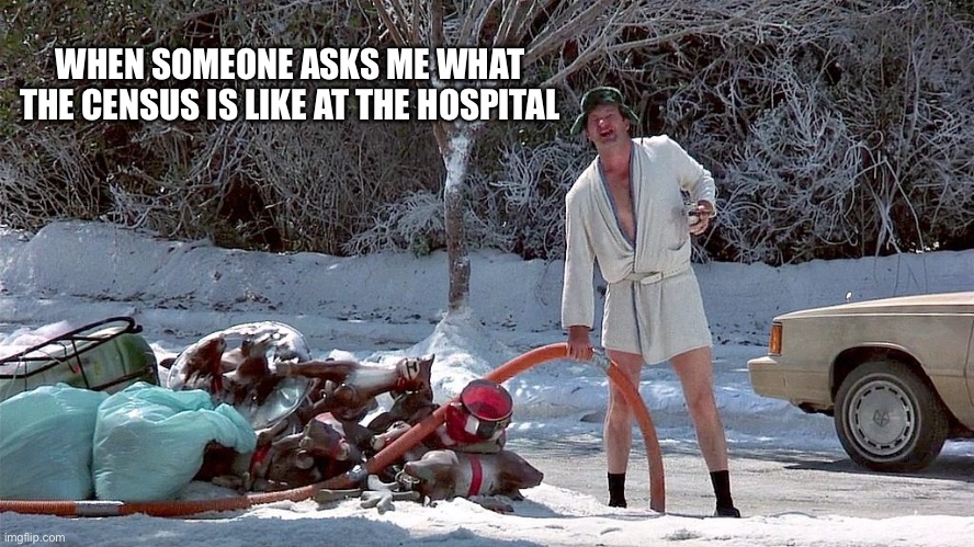 Uncle Eddie - Merry Christmas - Shitters Full | WHEN SOMEONE ASKS ME WHAT THE CENSUS IS LIKE AT THE HOSPITAL | image tagged in uncle eddie - merry christmas - shitters full | made w/ Imgflip meme maker