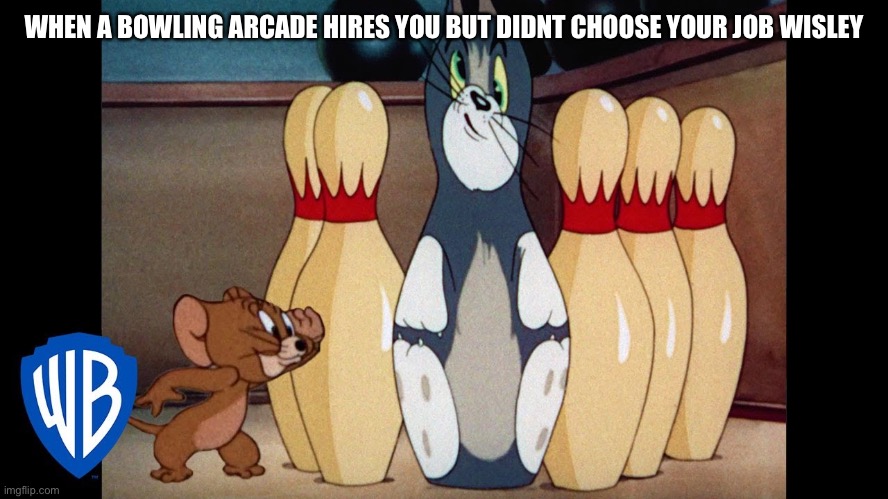 WHEN A BOWLING ARCADE HIRES YOU BUT DIDNT CHOOSE YOUR JOB WISLEY | image tagged in meme | made w/ Imgflip meme maker