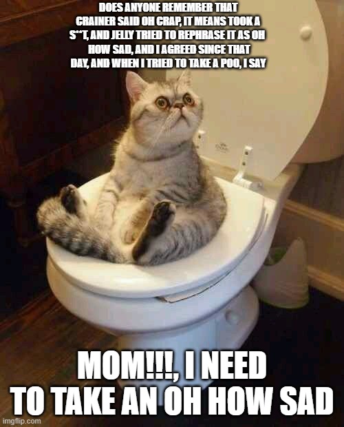 Toilet cat | DOES ANYONE REMEMBER THAT CRAINER SAID OH CRAP, IT MEANS TOOK A S**T, AND JELLY TRIED TO REPHRASE IT AS OH 
 HOW SAD, AND I AGREED SINCE THAT DAY, AND WHEN I TRIED TO TAKE A POO, I SAY; MOM!!!, I NEED TO TAKE AN OH HOW SAD | image tagged in toilet cat,two,youtubers,crap | made w/ Imgflip meme maker