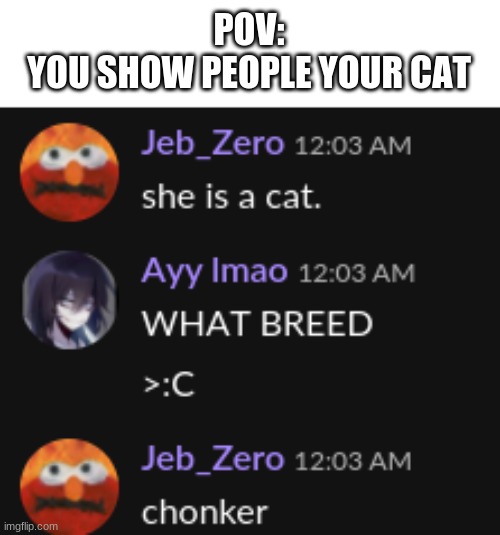 POV:
YOU SHOW PEOPLE YOUR CAT | made w/ Imgflip meme maker