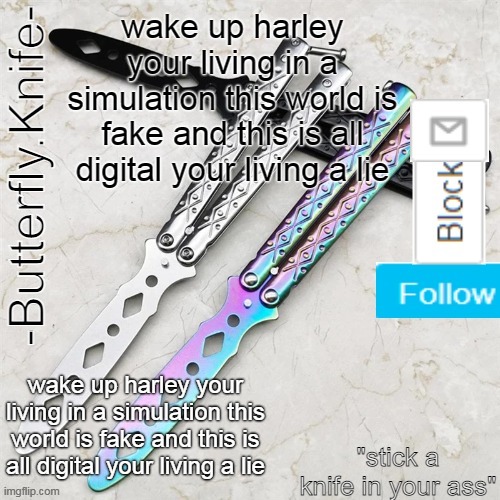 Butterfly.Knife temp | wake up harley your living in a simulation this world is fake and this is all digital your living a lie; wake up harley your living in a simulation this world is fake and this is all digital your living a lie | image tagged in butterfly knife temp | made w/ Imgflip meme maker