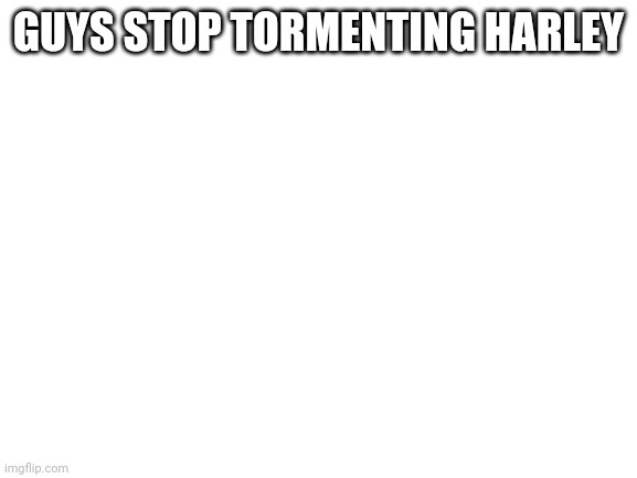 no. | GUYS STOP TORMENTING HARLEY | image tagged in blank white template | made w/ Imgflip meme maker