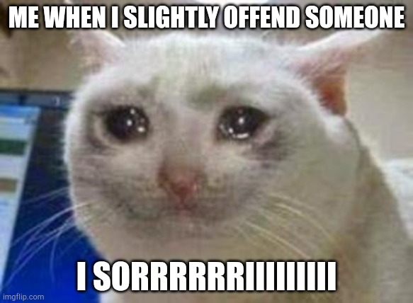 Sad cat | ME WHEN I SLIGHTLY OFFEND SOMEONE; I SORRRRRRIIIIIIIII | image tagged in sad cat | made w/ Imgflip meme maker