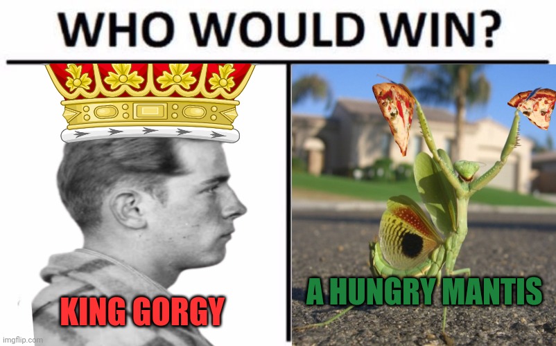 Praying mantis because reasons | KING GORGY A HUNGRY MANTIS | image tagged in memes,who would win,vote,common sense,party | made w/ Imgflip meme maker