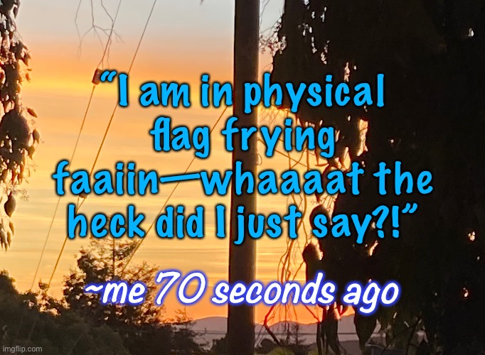 Sometimes even I don’t know what I’m saying! | “I am in physical flag frying faaiin—whaaaat the heck did I just say?!”; ~me 70 seconds ago | image tagged in flag frying fain,idk what that means,but its funny,i am in physical pain,accidentally kicked a table,im ok tho | made w/ Imgflip meme maker