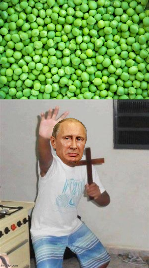 Pootin doesn’t like peas. Vote Conservative Party if you know peas are good brain food! | image tagged in ig for president,usa_patriot for vp,pollard for congress,fak_u_lol for senate | made w/ Imgflip meme maker