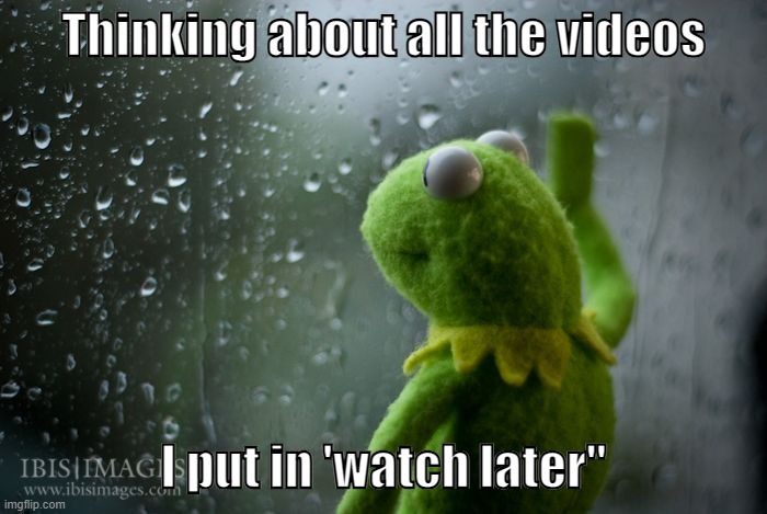 I'll see that later | Thinking about all the videos; I put in 'watch later'' | image tagged in kermit window | made w/ Imgflip meme maker